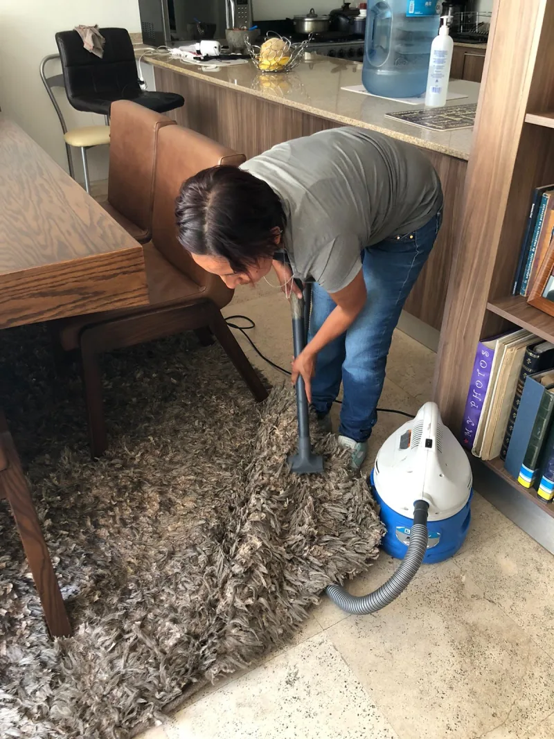 Une femme passe un aspirateur à cuve sur un tapis à poils longs, dans un salon