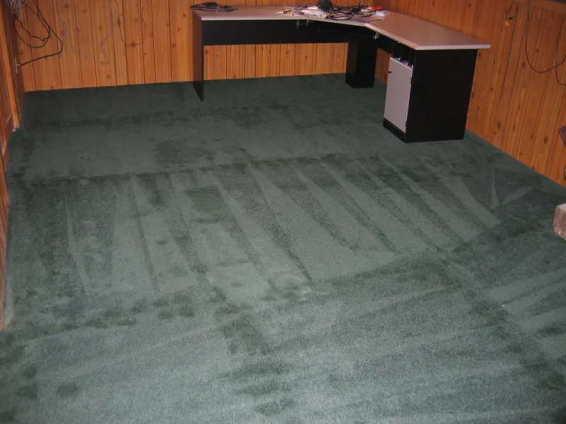 La moquette d’une pièce vidée de ses meubles, marquée des bandes d’un shampouinage encore humide