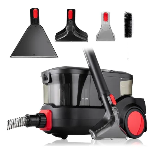 Détacheur portable Lehmann Prowash 2000